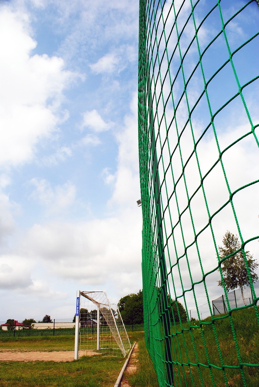 羽毛球普及 羽毛球普及