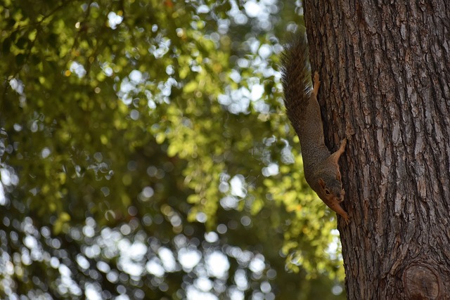 独特的传奇 独特的传奇
