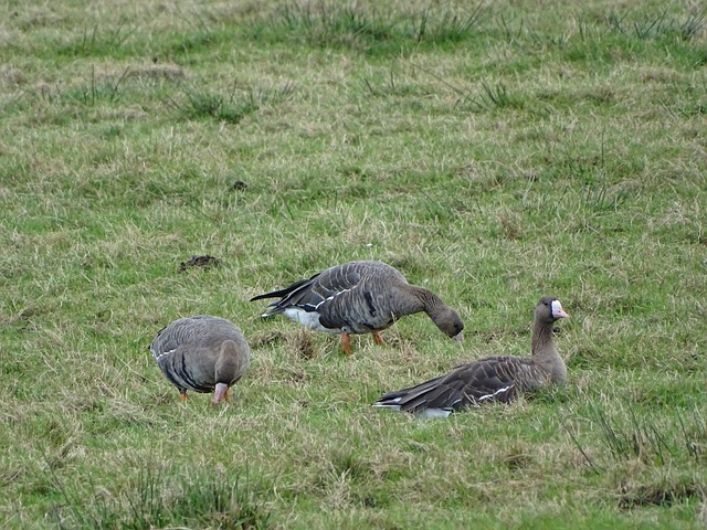 在即将到来 在即将到来