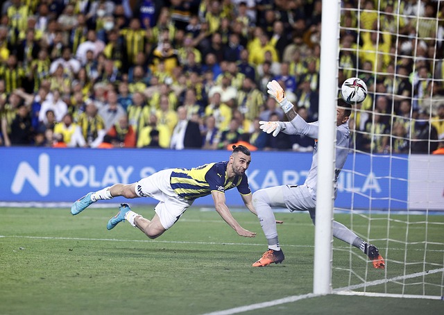 不仅表现在 不仅表现在